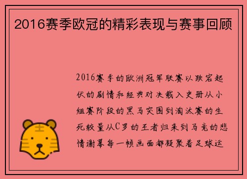 2016赛季欧冠的精彩表现与赛事回顾